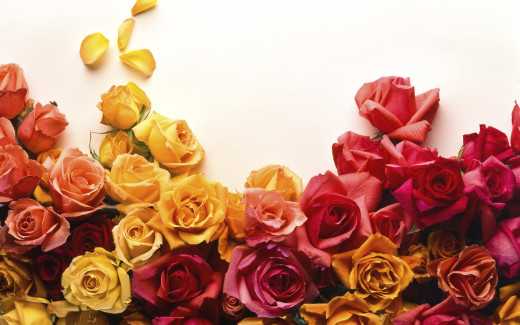 487008 (a): :2560x1600